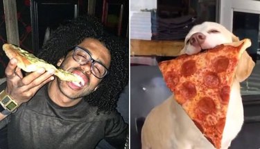 daveed diggs and a dog with pizza slices