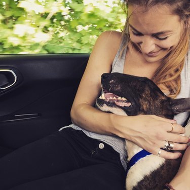 Dog leaning against girl in car.