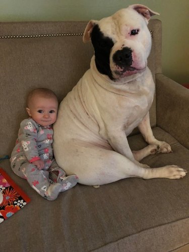 Dog and baby sitting on couch together