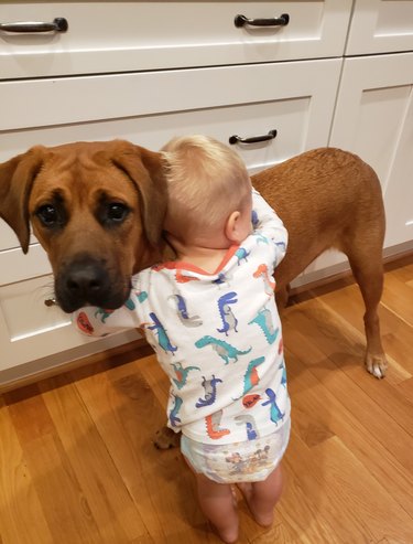 Child using worried dog to stand up