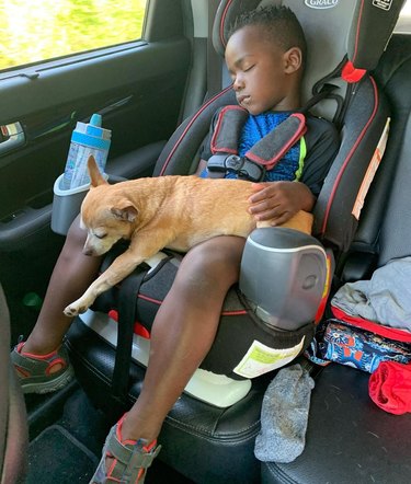 Boy sleeping in car seat with dog in lap.