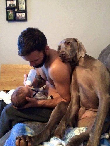 Dog leaning against man bottle feeding baby.