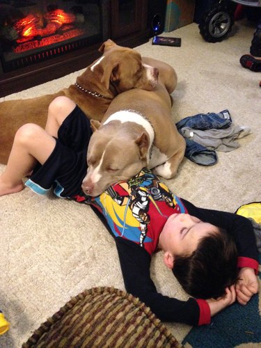 Two dogs and a boy cuddled in front of a fireplace.