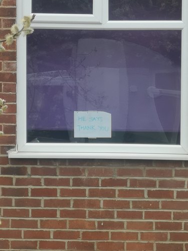 A woman posts sign in window for neighbor's cat.