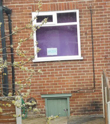 A woman posts sign in window for neighbor's cat.