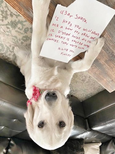 A dog writes letter for santa, apologizes for eating cookies.