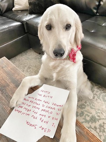 dog writes letter for santa, apologizes for eating cookies