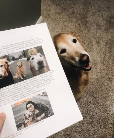 A dog writes letter for neighbor.