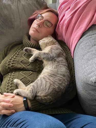 feral cat sleeps on woman