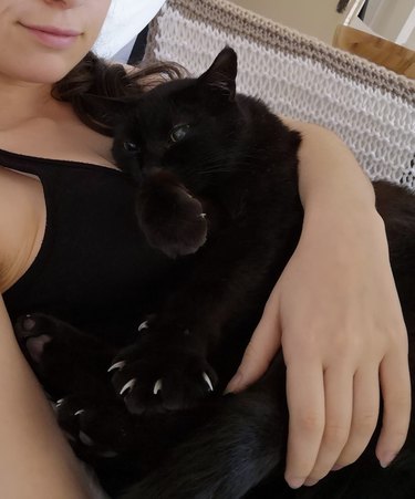 woman cradles black cat