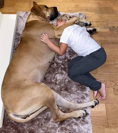 child and dog cuddle on ground