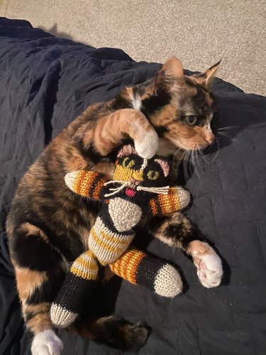 A tortoiseshell cat cradles a look-alike crocheted doll.