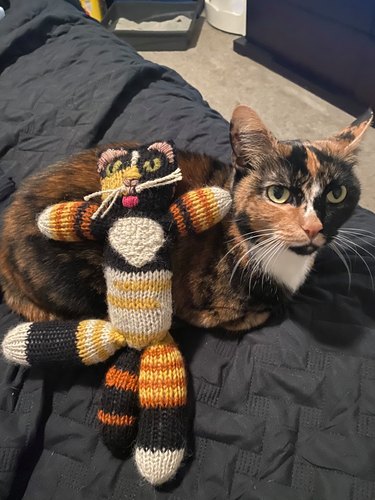 A tortoiseshell cat cradles a look-alike crocheted doll.