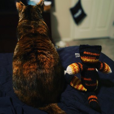 A totoiseshsell cat watches tv with their favorite crocheted toy.