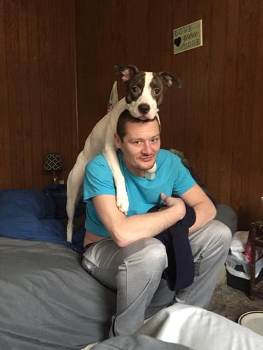 dog on man's head
