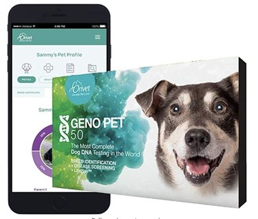 Orivet GenoPet 5.0 Dog DNA Test