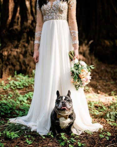 dog sitting by bride.