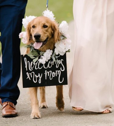 dog walking with bride and groom.