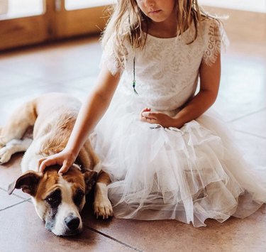 dog with flower girl.