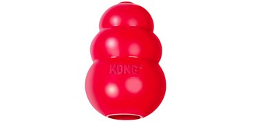 Kong toy for puppies