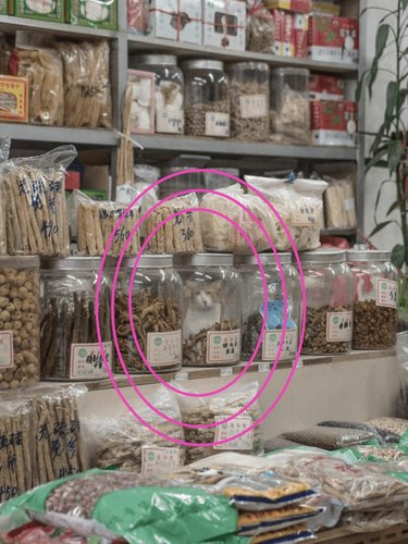 cat hidden behind glass jar