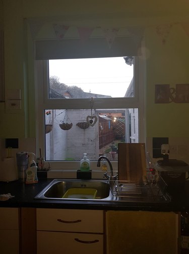 cat looks in kitchen window