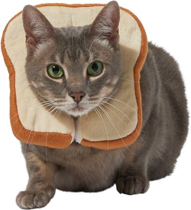Bread Costume For Cat Bread Cat Costume For Cats