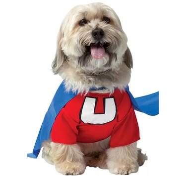 Underdog costume for dogs