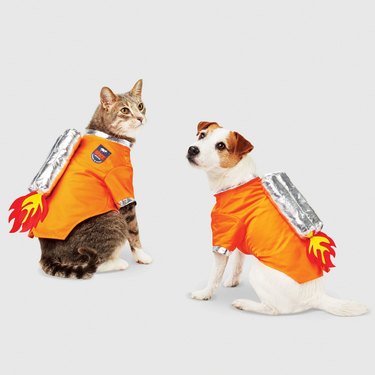 cat and dog astronaut costume