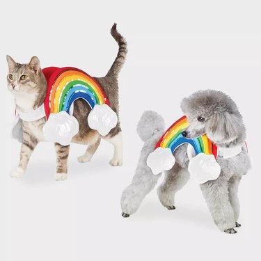 rainbow costume for cats and dogs