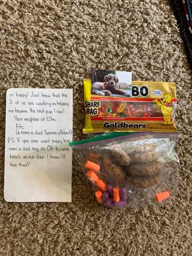 A puppy apologizes to neighbors for barking in a letter with gummy bears, earplugs, and cookies.