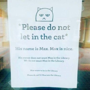 library posts sign telling patrons not to let cat in