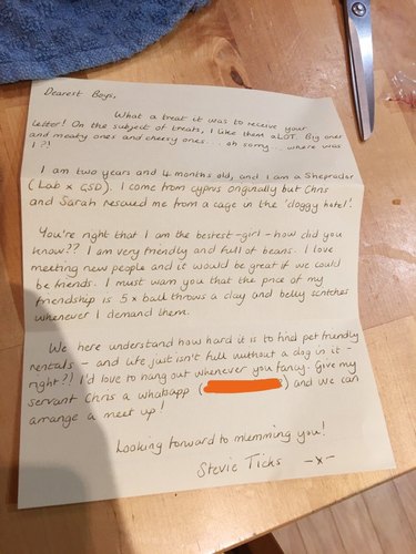 Four men offer to walk dog in letter to next-door neighbor.