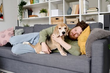 Man resting at home with dog