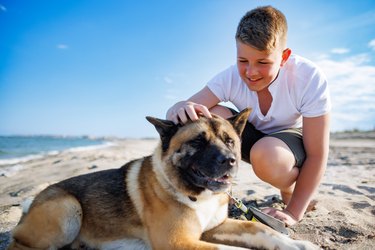 Teenage guy with blond hair and leash in hands plays and walks with Akina Inu on beach