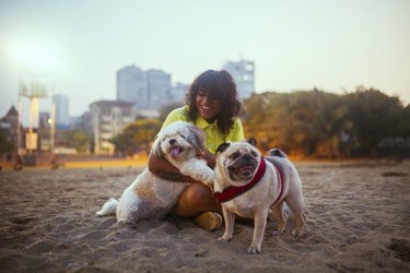Woman with two dogs at the beach