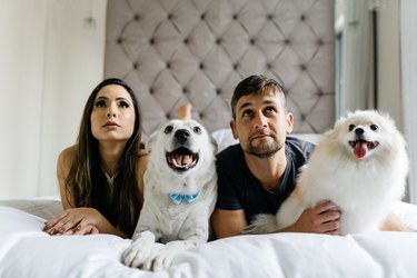 Couple and dogs watching TV in their bedroom