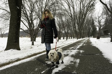 Blond female walking a dog in winter