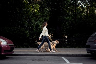 Young woman walking with her dogs at city street