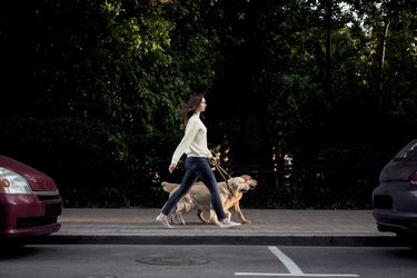 how long does it take for dog poop bags to decompose