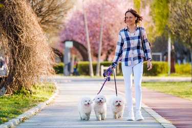 Woman with her dog