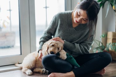 Young Woman Taking Care Of Her Puppy At Home