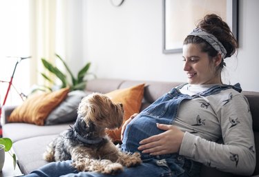 Young pregnant person sitting on sofa and relaxing at home with dog.