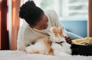 Young woman being affectionate with her cat at a hotel