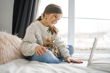 bengal cat with Child on computers sit bed at home