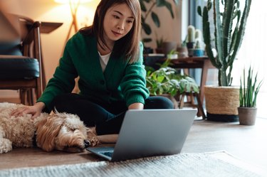 Young Asian woman using laptop while her dog lying next to her at home