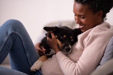 Woman petting dog at home.