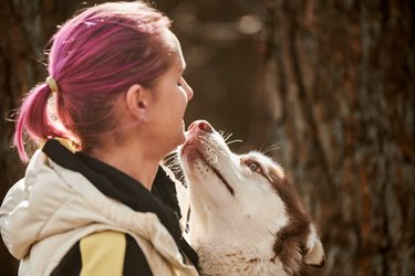 Siberian Husky dog kissing woman with pink hair outside