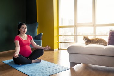 Pregnant and doing meditation at home with a cat