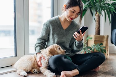 Young Woman Using Smartphone With Her Dog At Home
